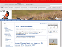 Tablet Screenshot of gpso.it